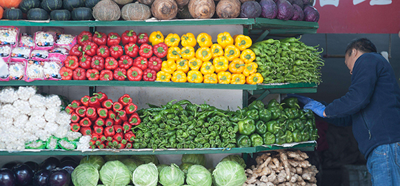 ����ϵ��֮�� | �����߹��꣺���ʽ����е���ǿ���