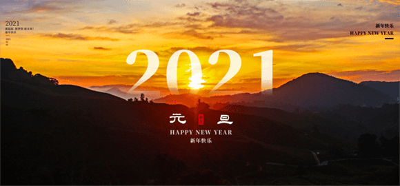 չ��2021 �� �й�����ҵ2021�귢չ����Ԥ��