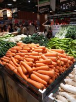 �׾����������ֶ�������������ʱ���㳡����ʥ��ѧϰ