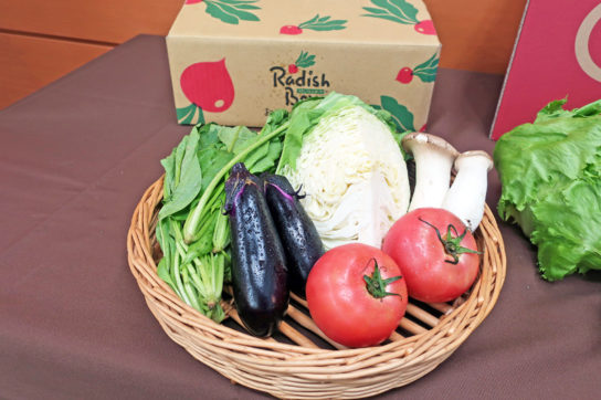 RadishBo-ya��˾��Ӧ��1�ˡ�2�˼�ͥ������������߲�����С������