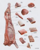 ������֪ʶ������ţ��ָλ����