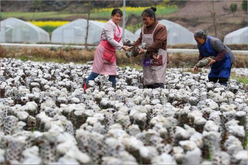 QQ截图20180313171523