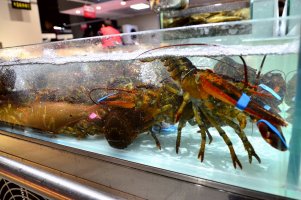 超市早市如何操作?形成良性揽客经营方式