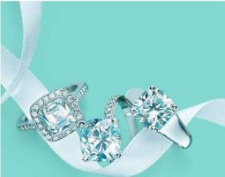 һ׮162������������չ���LVMH���µ�ܽ��