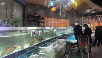 ��ҿ��ڹųơ����ݡ��ĳ���������ú����˿��г���