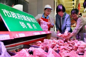 ��׼�й������г�ȱ�� ������಼�� �������۴��ǵĿ����Բ���