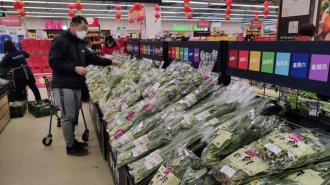 销量猛增三倍!物美在京日销蔬菜突破200万公斤