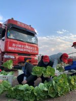 �������人ҽԺ����100���߲ˣ���ժ����һ�մ