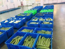 疫情下的「逆行」,常客隆线上买菜把健康带回家!