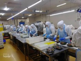 �ػ��人 ����ս���ߡ������а�����ȫԱӭս���� ȫ�����Ͻ����߲�ʳ��Ӧ