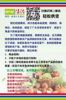 ���������һ·���ķ����˵�ÿһ��