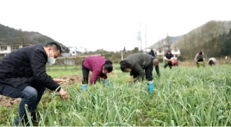 ������ũͨ��·�����������ȥ����