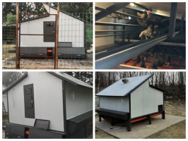 ��������ð����߲ˡ������ݵ���ס�˿�