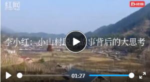 佳惠集团董事长李小红:小山村脱贫故事背后的大思考