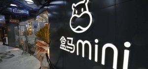 ƺЧ����ͨС���6�����ϣ�����mini�������������г�