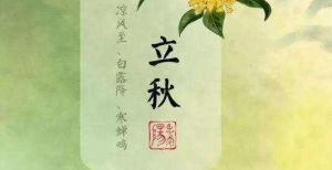 ��������ʱ��Ӫ���ȵ�ο���Ʒ���Ƽ�����24�����볬�о�Ӫϵ��10�����