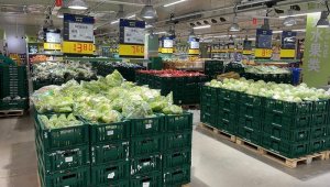 �Ʊ����ײ͡������ù����Ϻ�����̳��������ϲ��⹩Ӧ