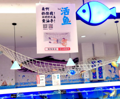 �����Ƴ����籭�����İ� ������Ƥ�İ���