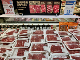  ��������ɽ�ۡ������½׶Σ�����������