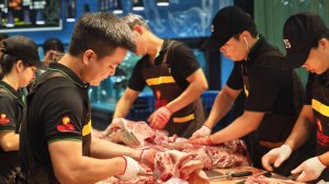 ��ͤ���������鵽���麣��̩��Ħѧϰ