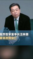 居然智家董事长被传坠亡 5天前刚解除留置