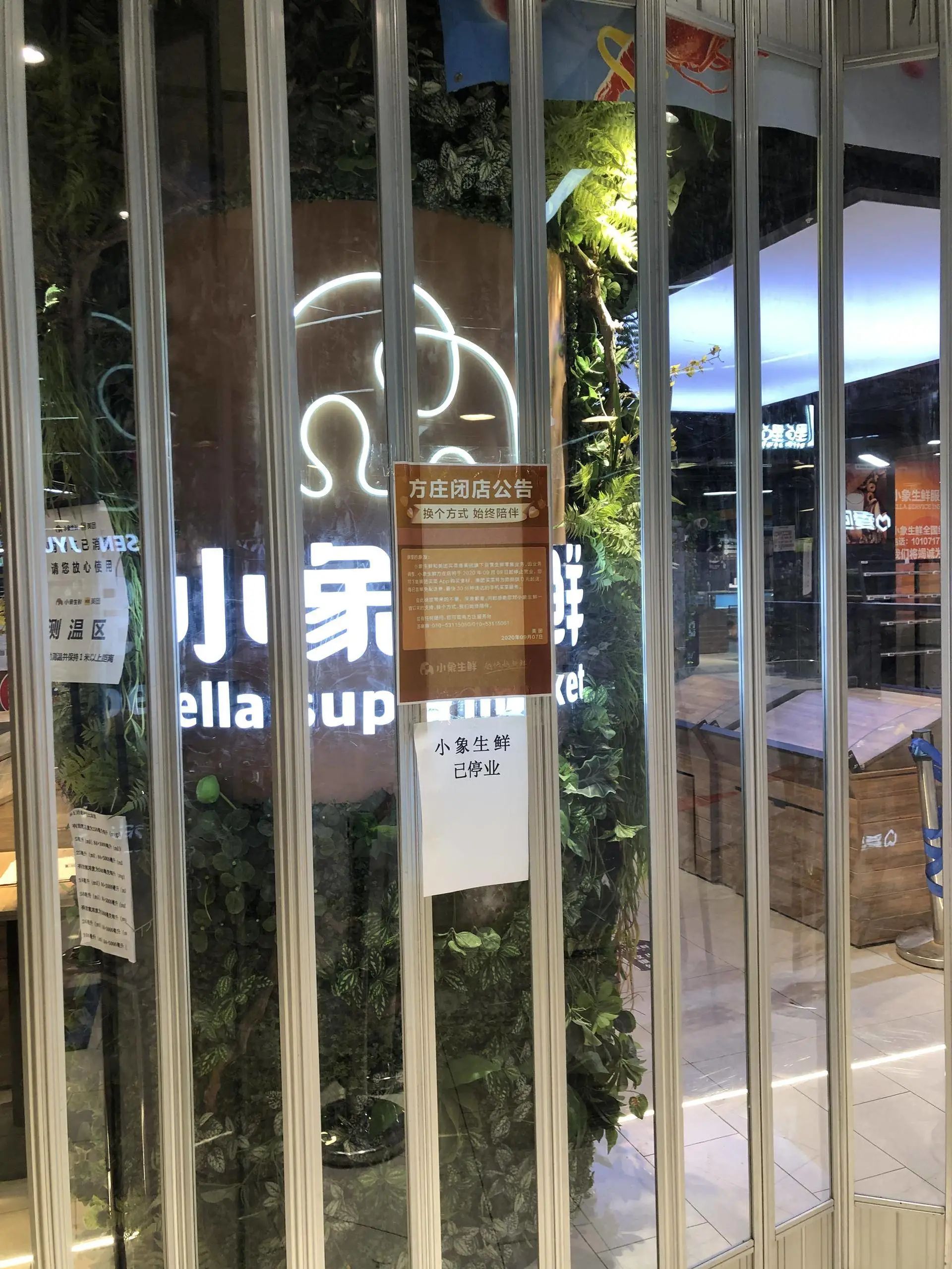 小象生鲜悄悄撤退:美团被阿里带偏了?