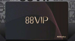 ˫11�ٽ� �Ա�88VIP���Ƴ��˻����˿����