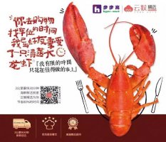 云猴网转型精选入列步步高新零售线上军团