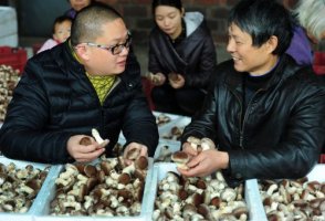实体零售开始回暖 电商精准扶贫成效显著