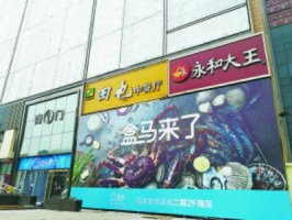 百荣引盒马落户 木樨园商圈消费待回流