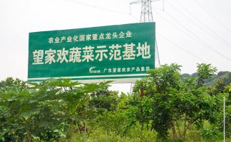 ʳ��B2Bƽ̨�����һ���������˹4��A������