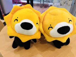 ���������磺ƴ��ࡢ������С�ײ����� �����ų���ɱ��