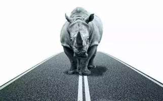 许小年:2019,中国经济如何正面抗击灰犀牛