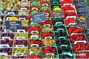 10�����������̳��Ļ������