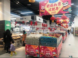 �ֶ��깫��2019�괺��ȫ������������