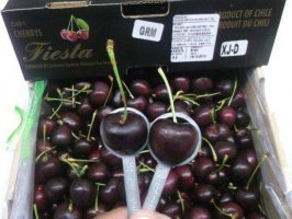 С������ġ����������ɡ���һ�����벻�����³������г�