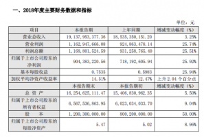 天虹股份发布2018业绩快报:全年营收191亿