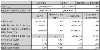 ��Ʒլ�䣺2019���������Ӫ��Ϊ19.20��Ԫ ������ͬ������8.39%