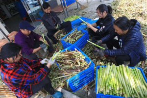 电商助推脱贫,贫困村通宽带比例达到97%