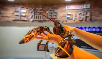 消费凶猛:大众 轮回 赢家