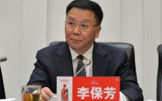 茅台集团董事长李保芳:2020年上半年将重组电商公司