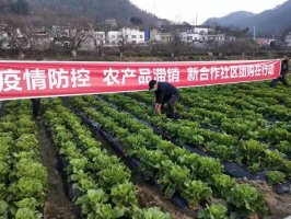 ����ʮ���º������������ֱ����ũ����Ӧ