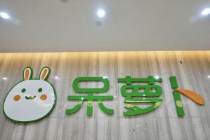 呆萝卜破产重整