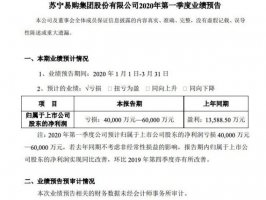苏宁易购:2020年一季度预计亏损4~6亿元