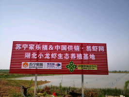 虾稻连作,荆州小龙虾生态养殖模式你了解吗?