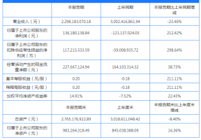 新华都:半年营收22.98亿元