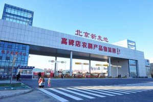 新发地闭市63天:7000家商户的挣扎与自救