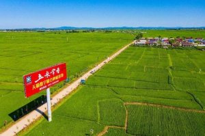 阿里公布助农成绩单:三年助销农产品5400亿元