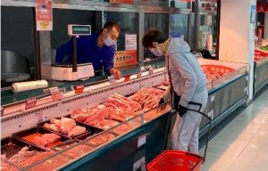 生猪价格连跌12周 “10元一斤”的猪肉何时能吃上