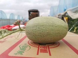 ���ⶾ��ˮ����Ӧ��